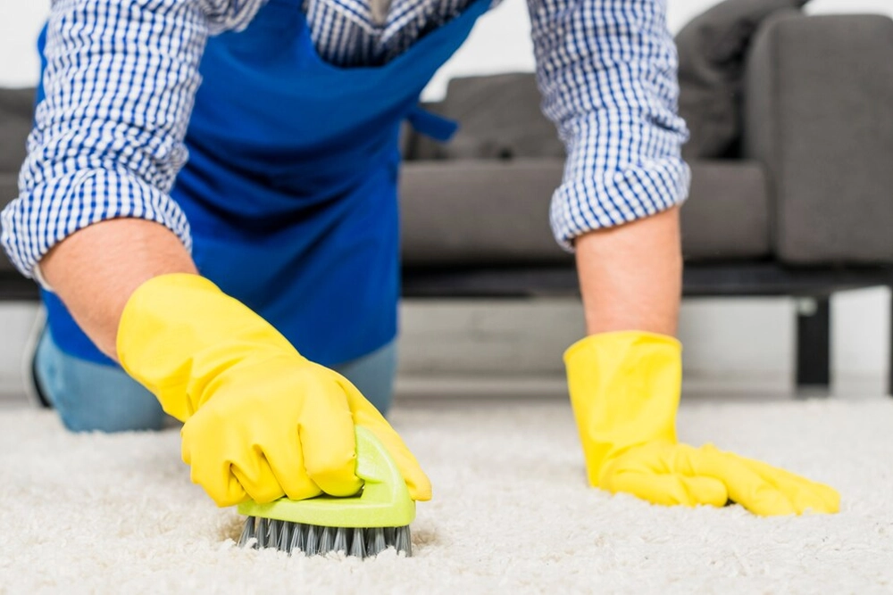 Carpet & Upholstery Cleaning